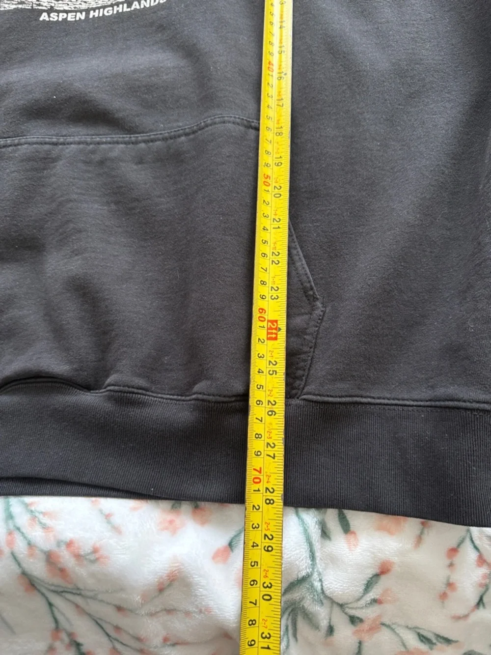 Brandy Melville | John Galt | Aspen Colorado | Hoodie - Picture 12 of 13